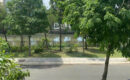 BÁN BIỆT THỰ LAKEVIEW CITY VIEW SÔNG